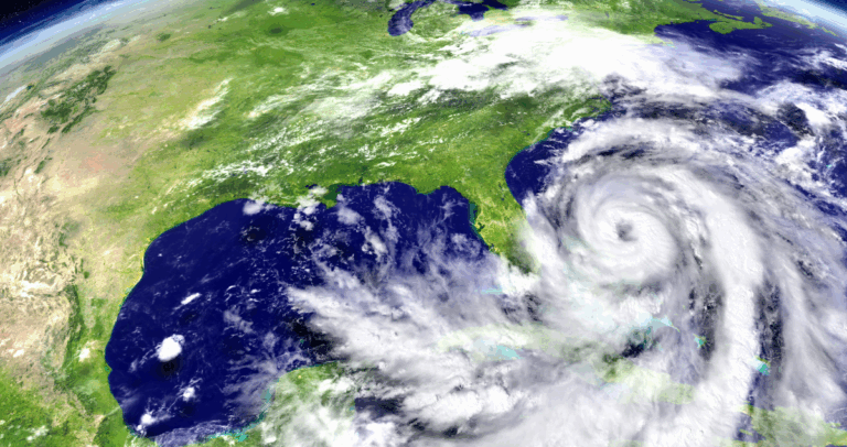 Hurricane Debris Recycling | Marpan