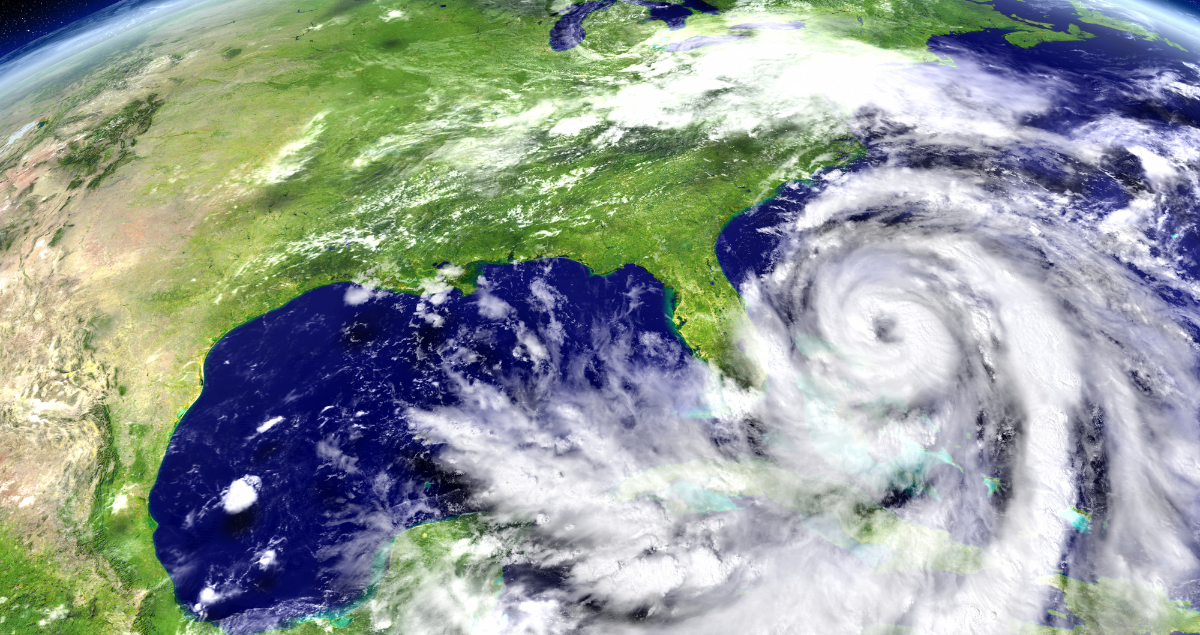 Hurricane Debris Recycling | Marpan